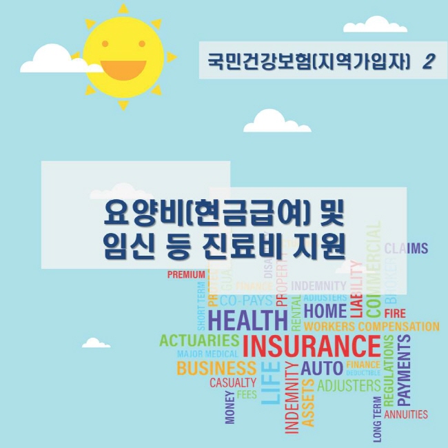 국민건강보험(지역가입자) 2 요양비(현금급여) 및 임신 등 진료비 지원